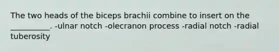 The two heads of the biceps brachii combine to insert on the __________. -ulnar notch -olecranon process -radial notch -radial tuberosity