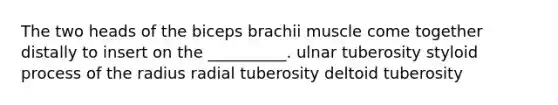 The two heads of the biceps brachii muscle come together distally to insert on the __________. ulnar tuberosity styloid process of the radius radial tuberosity deltoid tuberosity