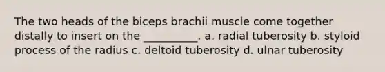 The two heads of the biceps brachii muscle come together distally to insert on the __________. a. radial tuberosity b. styloid process of the radius c. deltoid tuberosity d. ulnar tuberosity