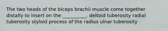 The two heads of the biceps brachii muscle come together distally to insert on the __________. deltoid tuberosity radial tuberosity styloid process of the radius ulnar tuberosity