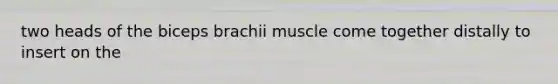 two heads of the biceps brachii muscle come together distally to insert on the