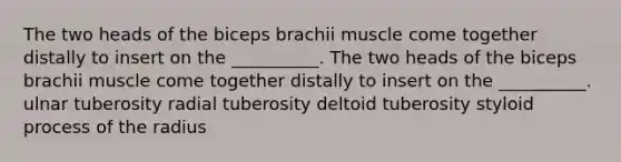 The two heads of the biceps brachii muscle come together distally to insert on the __________. The two heads of the biceps brachii muscle come together distally to insert on the __________. ulnar tuberosity radial tuberosity deltoid tuberosity styloid process of the radius