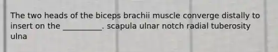 The two heads of the biceps brachii muscle converge distally to insert on the __________. scapula ulnar notch radial tuberosity ulna