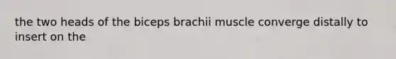 the two heads of the biceps brachii muscle converge distally to insert on the