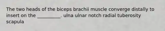 The two heads of the biceps brachii muscle converge distally to insert on the __________. ulna ulnar notch radial tuberosity scapula