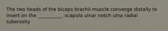 The two heads of the biceps brachii muscle converge distally to insert on the __________. scapula ulnar notch ulna radial tuberosity