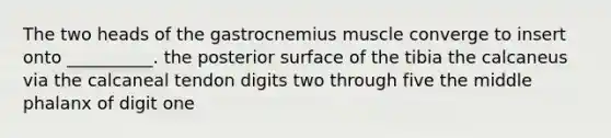 The two heads of the gastrocnemius muscle converge to insert onto __________. the posterior surface of the tibia the calcaneus via the calcaneal tendon digits two through five the middle phalanx of digit one