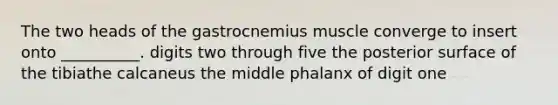 The two heads of the gastrocnemius muscle converge to insert onto __________. digits two through five the posterior surface of the tibiathe calcaneus the middle phalanx of digit one