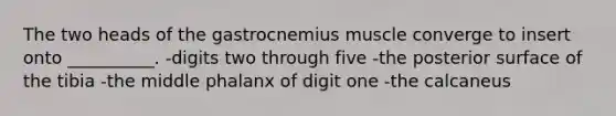 The two heads of the gastrocnemius muscle converge to insert onto __________. -digits two through five -the posterior surface of the tibia -the middle phalanx of digit one -the calcaneus