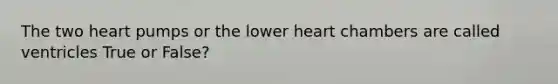 The two heart pumps or the lower heart chambers are called ventricles True or False?