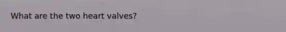 What are the two heart valves?