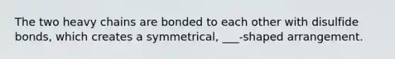 The two heavy chains are bonded to each other with disulfide bonds, which creates a symmetrical, ___-shaped arrangement.