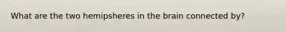 What are the two hemipsheres in the brain connected by?