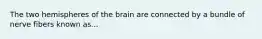 The two hemispheres of the brain are connected by a bundle of nerve fibers known as...