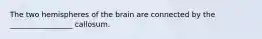 The two hemispheres of the brain are connected by the _________________ callosum.