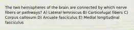 The two hemispheres of the brain are connected by which nerve fibers or pathways? A) Lateral lemniscus B) Corticofugal fibers C) Corpus callosum D) Arcuate fasciculus E) Medial longitudinal fasciculus