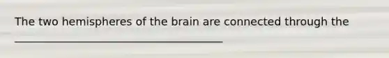 The two hemispheres of the brain are connected through the ______________________________________