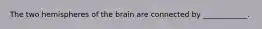 The two hemispheres of the brain are connected by ____________.