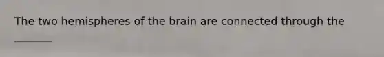 The two hemispheres of the brain are connected through the _______