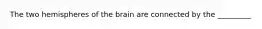 The two hemispheres of the brain are connected by the _________