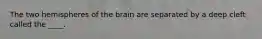 The two hemispheres of the brain are separated by a deep cleft called the ____.