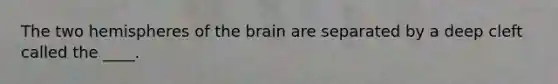 The two hemispheres of the brain are separated by a deep cleft called the ____.