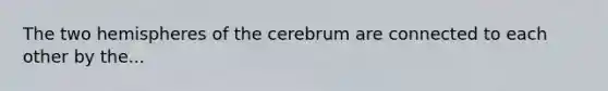 The two hemispheres of the cerebrum are connected to each other by the...