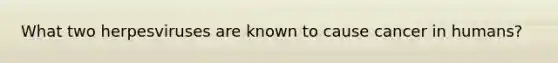 What two herpesviruses are known to cause cancer in humans?