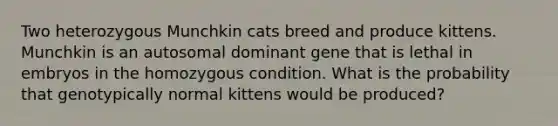 Two heterozygous Munchkin cats breed and produce kittens. Munchkin is an autosomal dominant gene that is lethal in embryos in the homozygous condition. What is the probability that genotypically normal kittens would be produced?