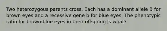 Two heterozygous parents cross. Each has a dominant allele B for brown eyes and a recessive gene b for blue eyes. The phenotypic ratio for brown:blue eyes in their offspring is what?