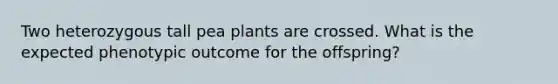Two heterozygous tall pea plants are crossed. What is the expected phenotypic outcome for the offspring?