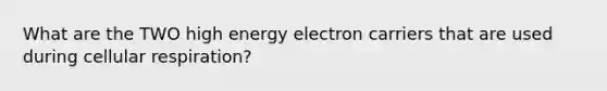 What are the TWO high energy electron carriers that are used during cellular respiration?