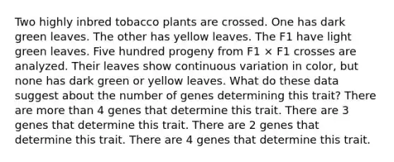 Two highly inbred tobacco plants are crossed. One has dark green leaves. The other has yellow leaves. The F1 have light green leaves. Five hundred progeny from F1 × F1 crosses are analyzed. Their leaves show continuous variation in color, but none has dark green or yellow leaves. What do these data suggest about the number of genes determining this trait? There are more than 4 genes that determine this trait. There are 3 genes that determine this trait. There are 2 genes that determine this trait. There are 4 genes that determine this trait.