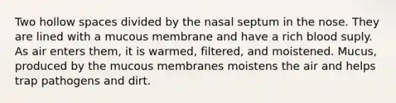 Two hollow spaces divided by the nasal septum in the nose. They are lined with a mucous membrane and have a rich blood suply. As air enters them, it is warmed, filtered, and moistened. Mucus, produced by the mucous membranes moistens the air and helps trap pathogens and dirt.