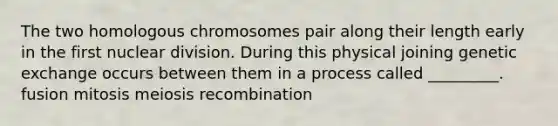 The two homologous chromosomes pair along their length early in the first nuclear division. During this physical joining genetic exchange occurs between them in a process called _________. fusion mitosis meiosis recombination