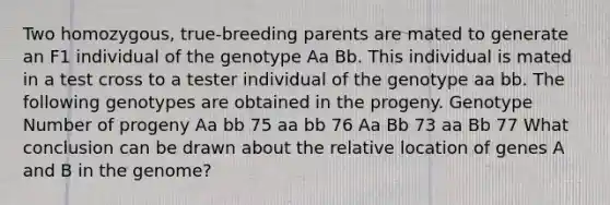 Two homozygous, true-breeding parents are mated to generate an F1 individual of the genotype Aa Bb. This individual is mated in a test cross to a tester individual of the genotype aa bb. The following genotypes are obtained in the progeny. Genotype Number of progeny Aa bb 75 aa bb 76 Aa Bb 73 aa Bb 77 What conclusion can be drawn about the relative location of genes A and B in the genome?