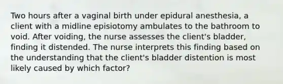 Two hours after a vaginal birth under epidural anesthesia, a client with a midline episiotomy ambulates to the bathroom to void. After voiding, the nurse assesses the client's bladder, finding it distended. The nurse interprets this finding based on the understanding that the client's bladder distention is most likely caused by which factor?