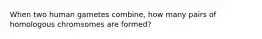 When two human gametes combine, how many pairs of homologous chromsomes are formed?