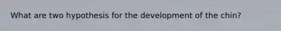 What are two hypothesis for the development of the chin?