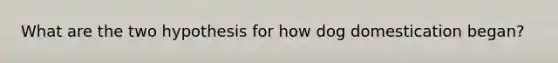 What are the two hypothesis for how dog domestication began?