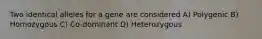 Two identical alleles for a gene are considered A) Polygenic B) Homozygous C) Co-dominant D) Heterozygous