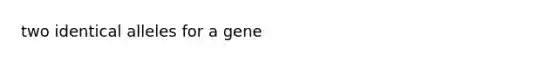 two identical alleles for a gene