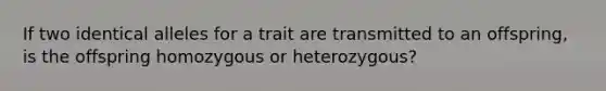 If two identical alleles for a trait are transmitted to an offspring, is the offspring homozygous or heterozygous?