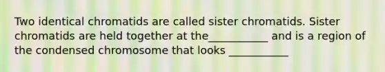 Two identical chromatids are called sister chromatids. Sister chromatids are held together at the___________ and is a region of the condensed chromosome that looks ___________