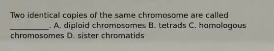 Two identical copies of the same chromosome are called __________. A. diploid chromosomes B. tetrads C. homologous chromosomes D. sister chromatids