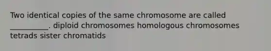 Two identical copies of the same chromosome are called __________. diploid chromosomes homologous chromosomes tetrads sister chromatids