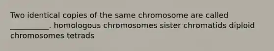 Two identical copies of the same chromosome are called __________. homologous chromosomes sister chromatids diploid chromosomes tetrads