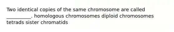 Two identical copies of the same chromosome are called __________. homologous chromosomes diploid chromosomes tetrads sister chromatids