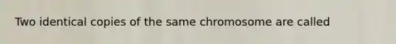 Two identical copies of the same chromosome are called