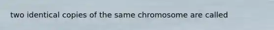 two identical copies of the same chromosome are called